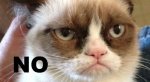 Grumpy-Cat-NO-3.jpg