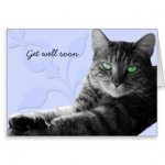 tabby_cat_with_paws_crossed_get_well_soon_greeting_card-re735b14da585433bb5dcf3fcd2b45c25_xvuak_.jpg