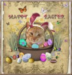 20130327-easter-cats-4_0.jpg