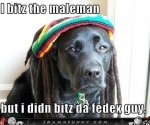 Rasta-Dog-Bites-The-Mailman.jpg