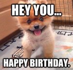 Happy-Birthday-Cute-Dog-16-300x287.jpg