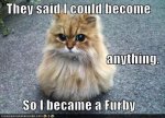 Furby_cat.jpg