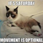 319558-grumpy-cat-its-saay.jpg