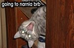 narnia.jpg