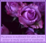 beautifulpurple-rosesgs.jpg