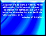 NASB_Isaiah_35-8.jpg