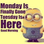 220367-Monday-Is-Finally-Gone-Tuesday-Is-Here.-Good-Morning.jpg