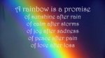 Rainbow Promise.jpg