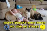 Mind-fresh-sunday.jpg