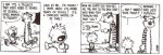 calvin3.jpg