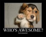 whos_awesome-300x240.jpg