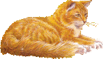 graphics-cats-872784.gif