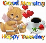 248544-Cute-Good-Morning-Happy-Tuesday.jpg