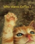 Who Wants Coffee.jpg