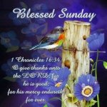 1st Chronicles 16v34- Sunday.jpg