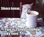 Coffee Time.jpg