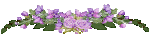 flowerbar15purp.gif