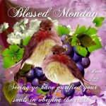 daymondaybless07.jpg