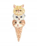 kittycone2.jpg