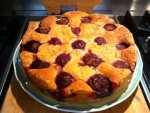 plum-torte-cake.jpg