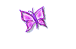 butterflyzoom.gif