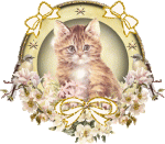 animal-graphics-cats-038493.gif