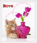 KittenWithFlowersOfLove.gif