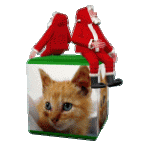 cat-santa-spin.gif