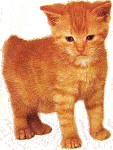 cat-clipart-03.gif