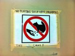 squirrls-no playing dice.jpg