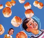 zero gravity biscuits.jpg