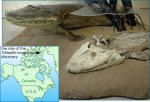 tiktaalik_reconstruction.jpg