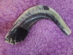 My Shofar.jpg