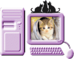 animal-graphics-cats-317540.gif