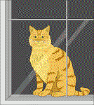 cat_window.gif