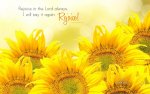 24390-rejoice-in-the-lord-1440-x-900.jpg