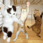 party20kats20dancec200.gif