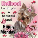 279494-Hellooo-I-Wish-You-A-Beautiful-And-Happy-Monday.jpg