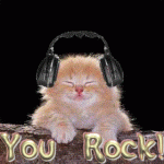 musiccat.gif