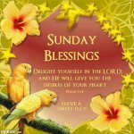 270500-Sunday-Blessings.jpg