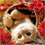 Happy-Sunday-Cat-Glitter-wg032.jpg