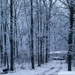 IMG_20171209_123008_310.jpg