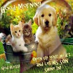 164986-Good-Morning-Good.jpg