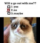 grumpy cat.jpg