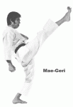 preston%u00252Bkarate%2Bshotokan%2Bkihon%2Bmae%2Bgeri%2B2.gif