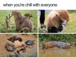 funny-wholesome-animal-memes-51-58f0cbb9c3b41__700.jpg