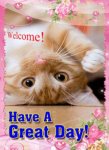 13fb4ab8e09b8c9976b4b4697b6b8f9e--ecard-free-cat-gif.jpg