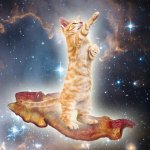 Bacon Cat.jpg