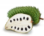 Soursop-Fruit-1-300x245.png