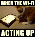 WonkyWifi.gif